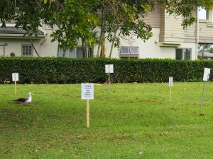 Signs surround a nest