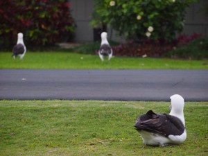 Valentine watches her parents
