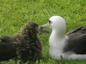 Peg sits with Junior