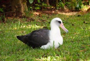 KP618, waiting for KP252