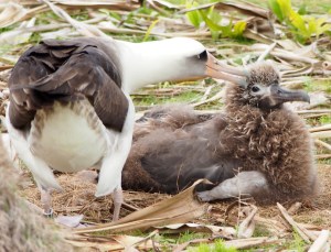 A402 approaches sibling