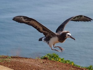 Practice makes perfect!