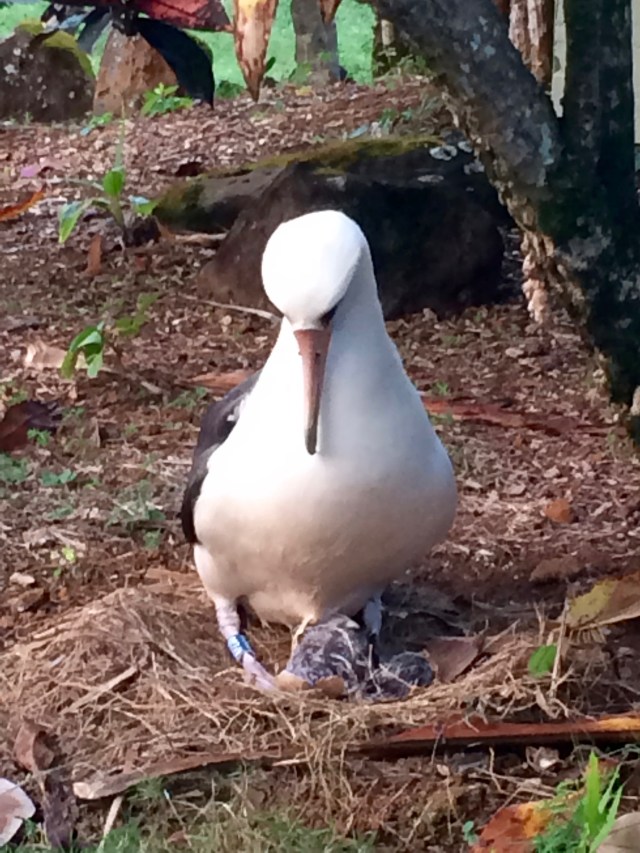 blu230 and wet chick