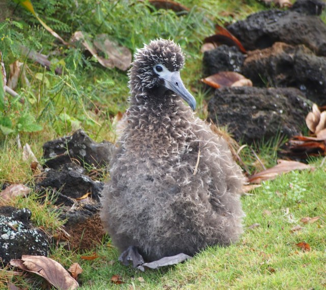 Kirwan contemplates life