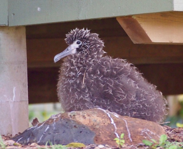 Kirwan surveys his world