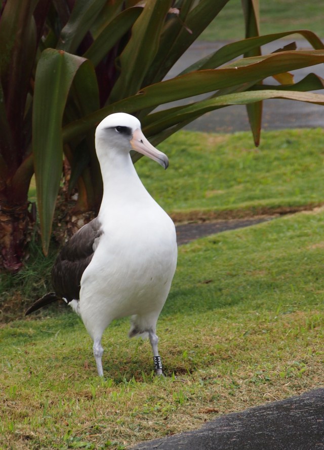 Great-grandpa lookin' good!