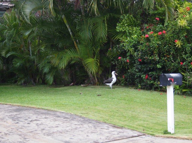 505 waiting for K065